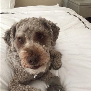 Meet your Posher, Raina